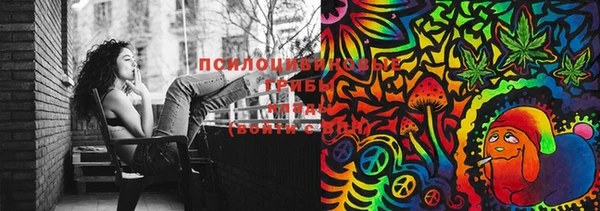 марки lsd Бугульма