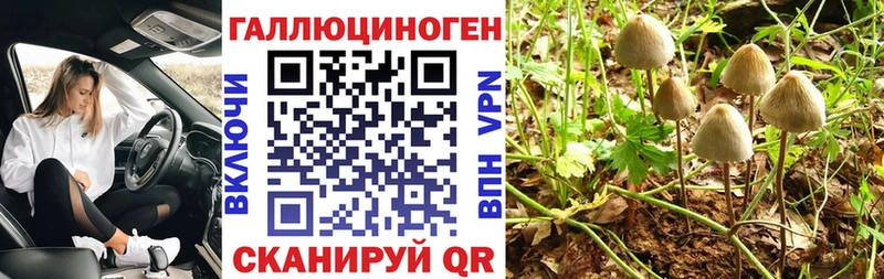 Псилоцибиновые грибы GOLDEN TEACHER  хочу   ссылка на мегу маркетплейс  Комсомольск 